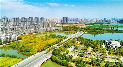 杭州绿化经验：让城市推窗见绿移步成景