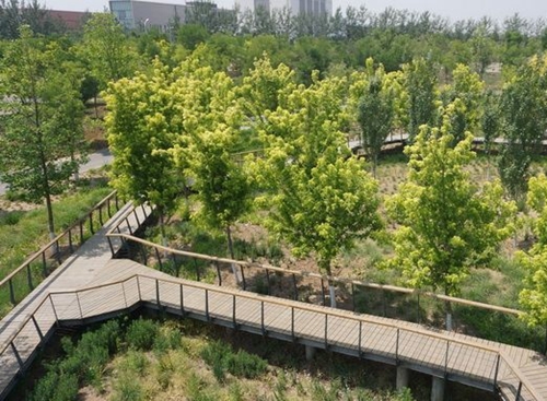 北京密云白河城市森林公园正式开工
