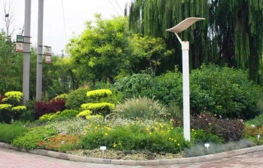 明年天津将建20处园林花境景观
