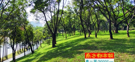 深圳这样改造提升6大市属公园颜值