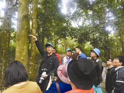 北林大“青蓝计划”学员走进热带森林