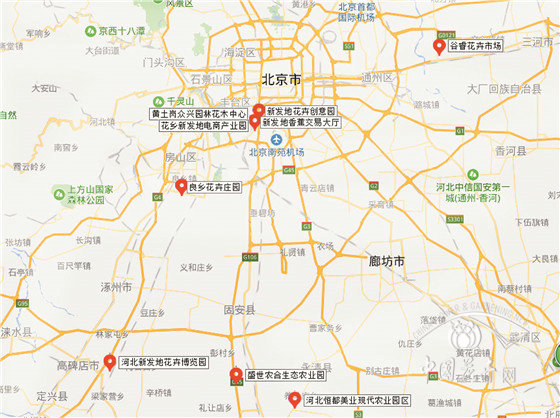 北京花卉市场疏解搬迁现状调查