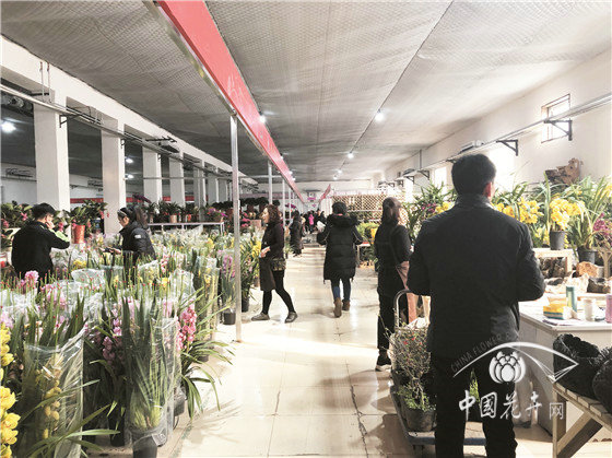 北京花卉市场疏解搬迁现状调查