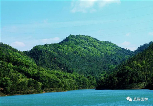 林城山水中，享一份宁静——广东中山国家森林公园