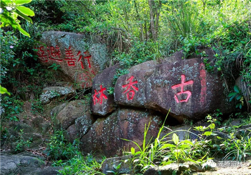 林城山水中，享一份宁静——广东中山国家森林公园
