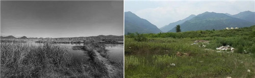 超低造价的生态景观 | 秦岭国家植物园人工湿地