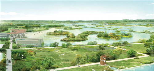 弗洛伦思·梅歇尔：水与园林城市塑造