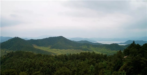 打造梦想中的自然栖息地丨浙江龙湖坤和·天境