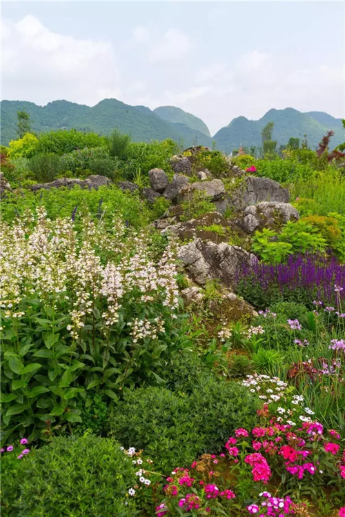 “秘密花园”，云漫湖的诗与远方！