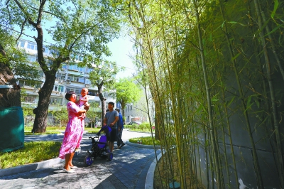 北京：闲置拆迁地变口袋公园