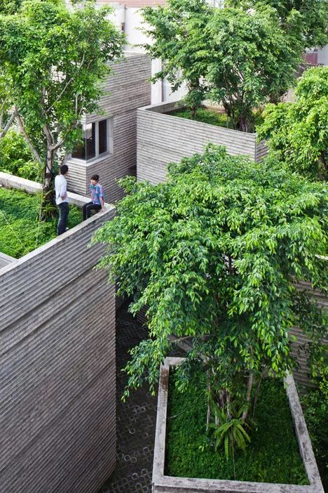 被低估的越南“绿色住宅”