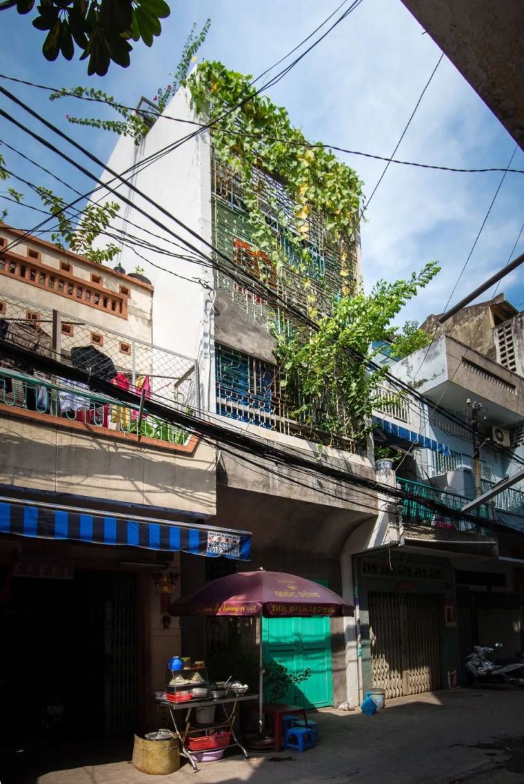 被低估的越南“绿色住宅”