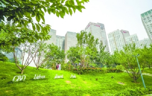 北京：CBD建起首个城市森林公园 