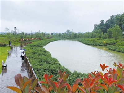重庆：小微湿地点亮美丽乡村
