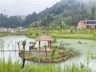重庆：小微湿地点亮美丽乡村