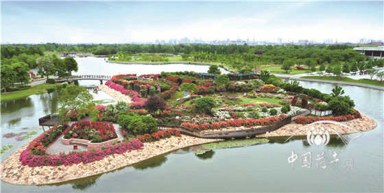 上海辰山植物园：植物界365天魔法师