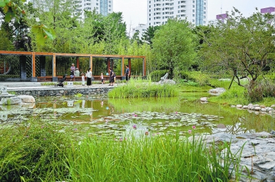 北京：小微湿地未来遍地“开花”