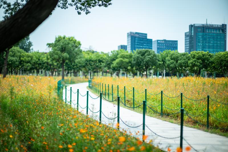 当城市公园成为社区“后花园”