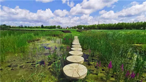 2019园冶杯专业奖丨桦南幸福湿地公园景观设计