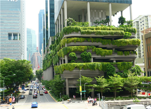李敏：从绿化城市到公园城市
