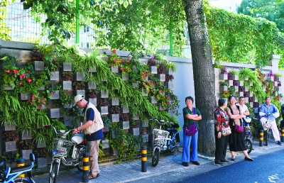 北京：胡同里的绿化上了墙