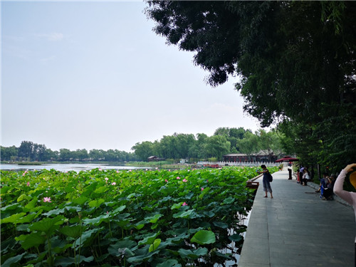北京推出十条主题线路！带您流连京城新景观