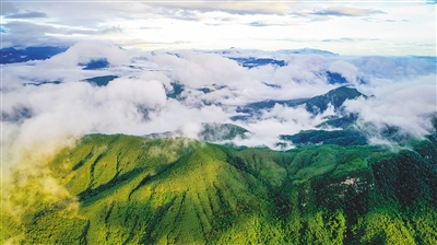 海南：精心呵护热带雨林 奋力建设国家公园