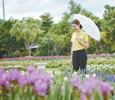 泰国皇家花园：透过园林和建筑艺术感知文化