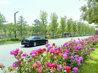 北京：乡土植物历史名园“唱主角”