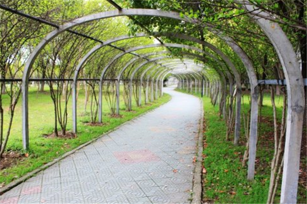 汉水公园：海绵改造让老旧公园焕发新生命