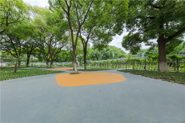 汉水公园：海绵改造让老旧公园焕发新生命