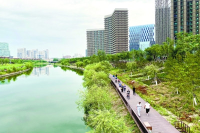 到2035年10个万亩以上森林组团遍布北京副中心