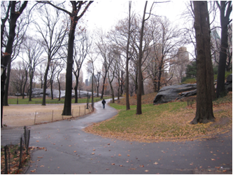 邱冰：公园与城市生活——公园属性的反思