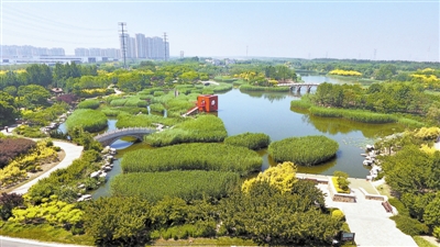 天津这样增加绿色空间提升区域生活品质和生态环境