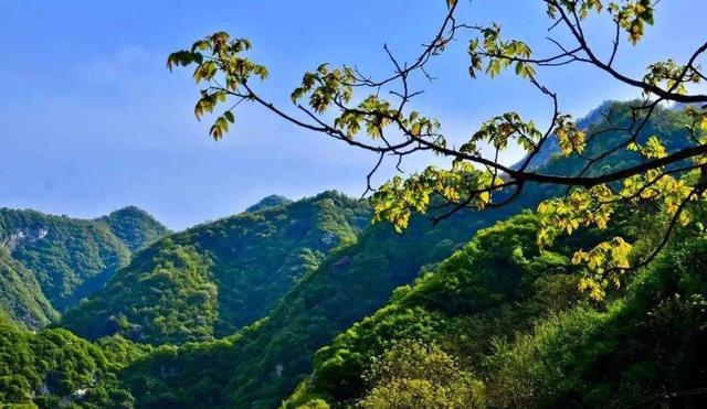 陕西将建设秦岭国家公园，完善自然保护地体系