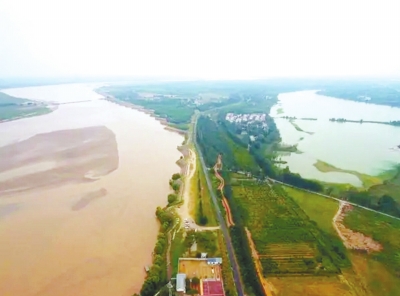 河南黄河沿线将编织森林网络 建3.66万亩生态廊道