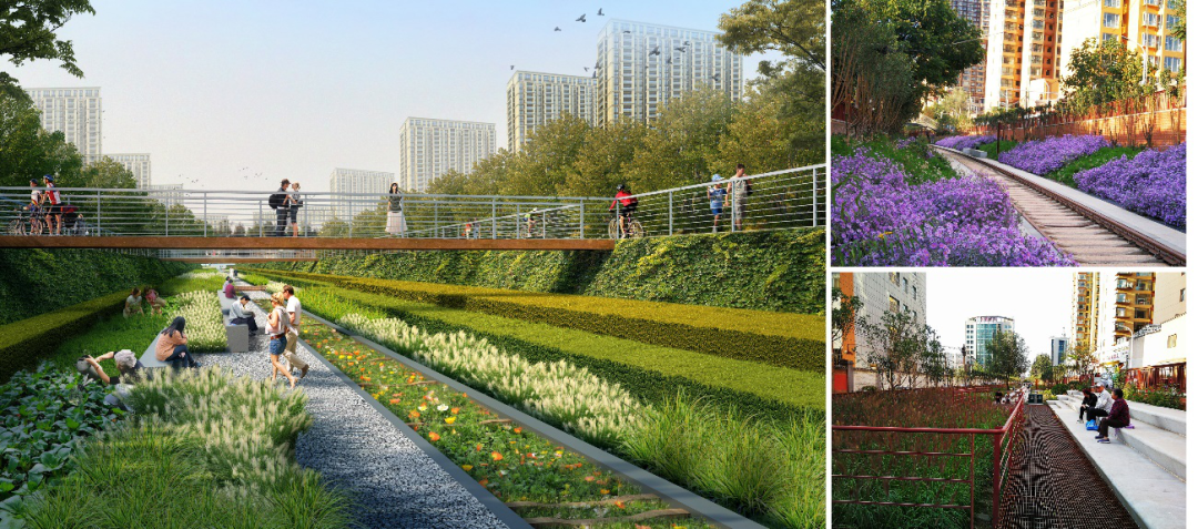 李雄：风景园林，让城市更新更有生命力