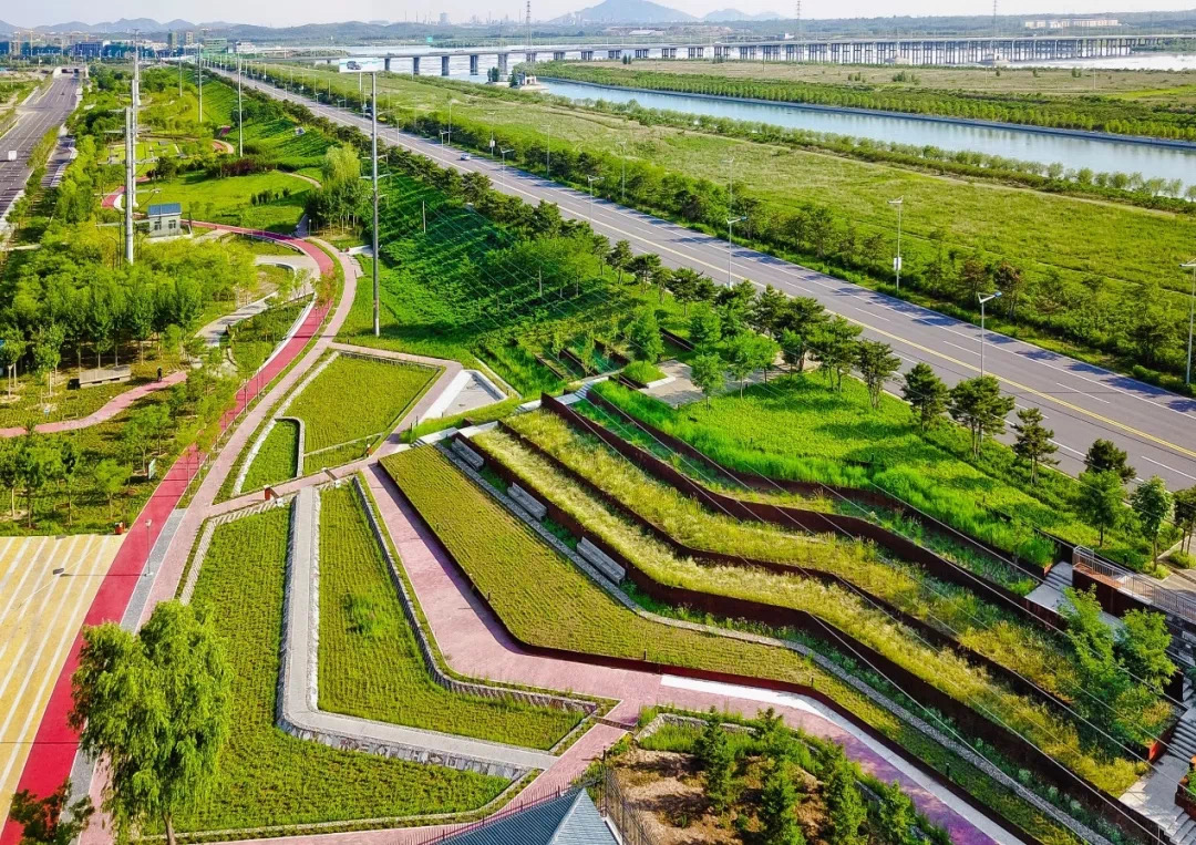李雄：风景园林，让城市更新更有生命力