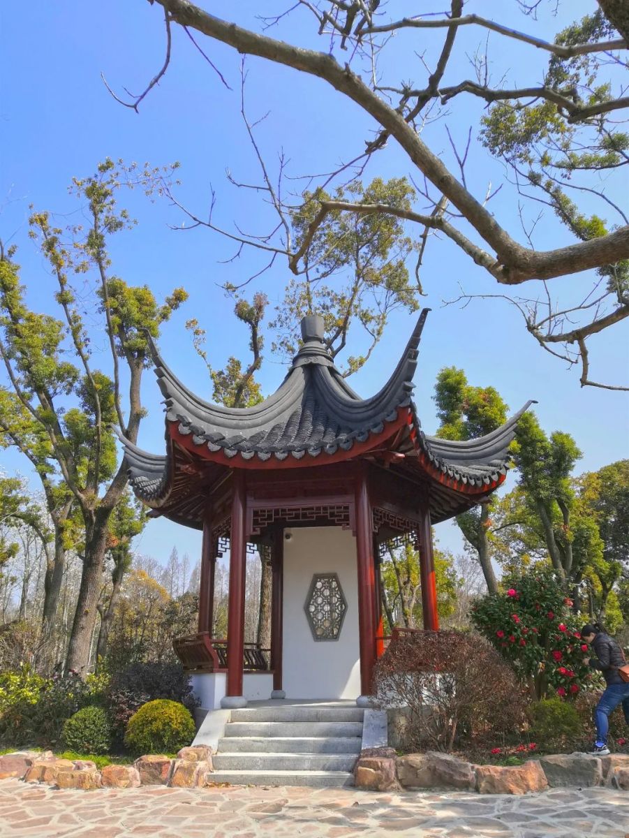 上海植物园牡丹园焕然一新 景观功能大幅提升