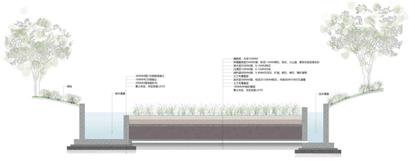 马銮湾新城集美片区水生态修复工程(二期)