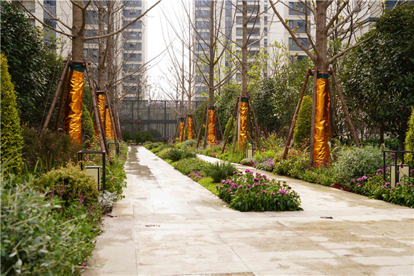 园冶杯参赛作品丨上海南山虹桥领峯项目花境工程