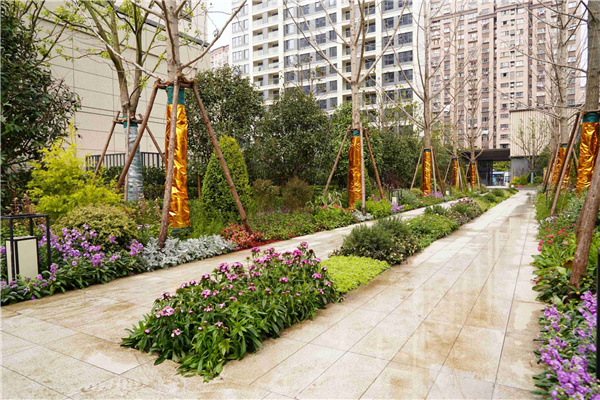 园冶杯参赛作品丨上海南山虹桥领峯项目花境工程