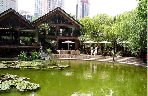 上海静安公园(图)_公园绿地|规划设计_中国风景