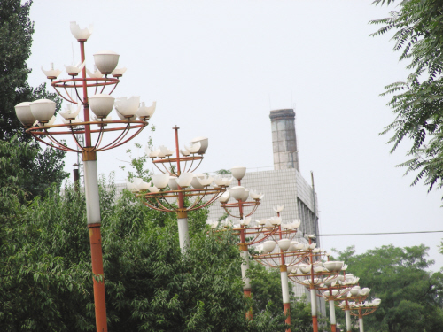 在铁西区永乐公园附近，30余盏景观路灯的灯罩破碎。