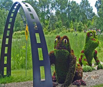 蒙特利尔国际植物雕塑展之青蛙