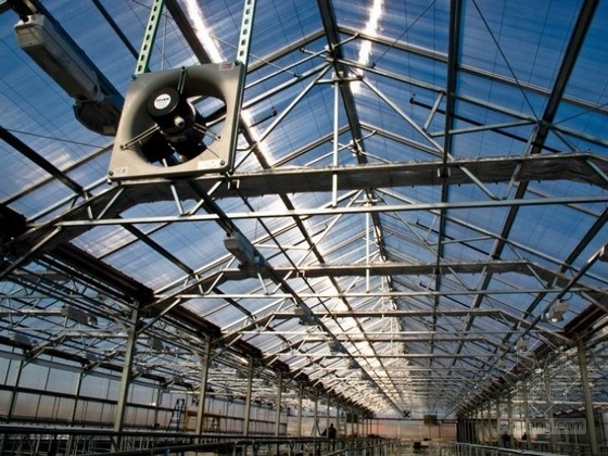 Gotham Green设计的屋顶农场_公共空间|规划