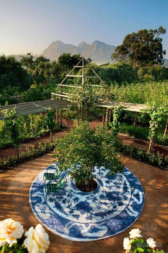 南非开普敦农场酒店的奇妙花园