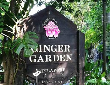 CHLA新加坡绿色景观之旅(6)：新加坡植物园