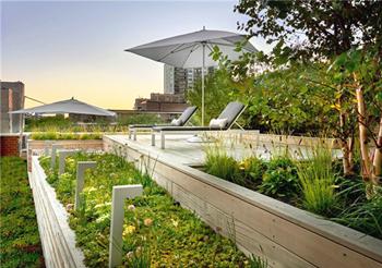 芝加哥屋顶甲板“城市绿洲”景观设计