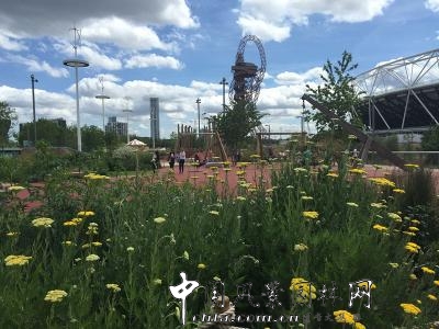 夏宜平教授英国花园之旅系列四：伦敦奥林匹克公园